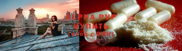 PSILOCYBIN Заводоуковск