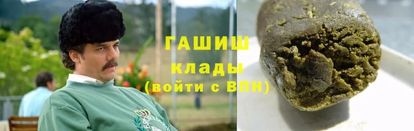PSILOCYBIN Заводоуковск