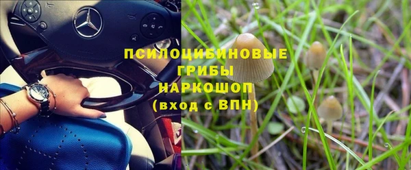 тгк Заволжск