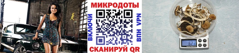 цена наркотик  мега рабочий сайт  Псилоцибиновые грибы Magic Shrooms  Кадников 